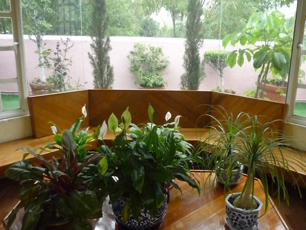 Casona Roma Norte Мексико Сити Екстериор снимка